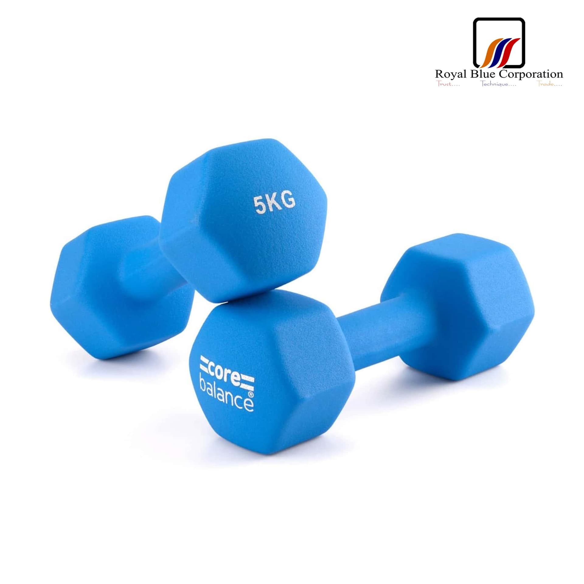 Vinyl Dumbbell (5Kg Pair) image
