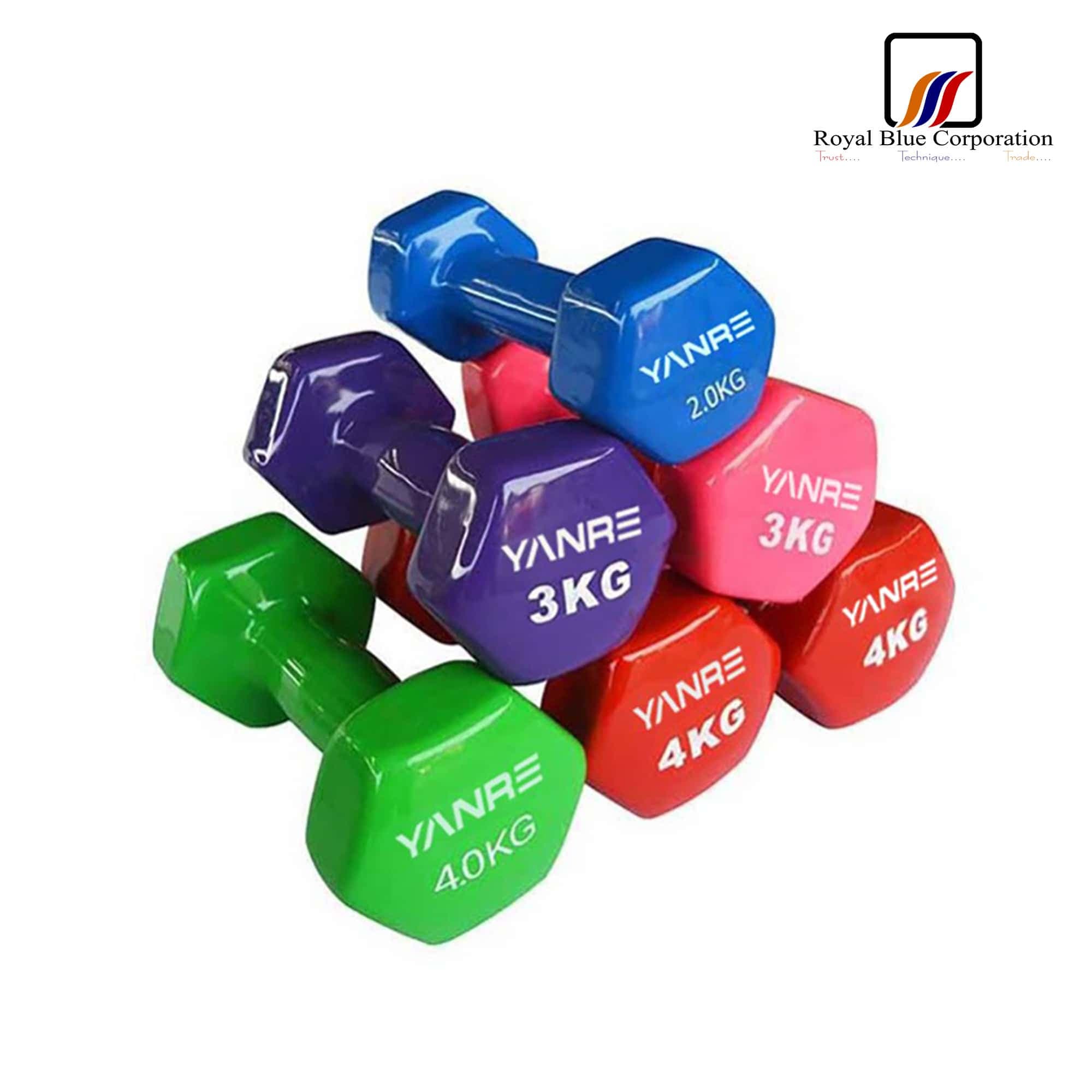Vinyl Dumbbell (per kg) image