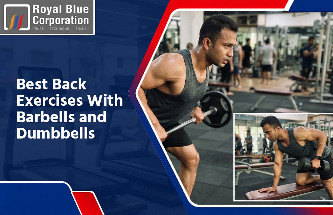 Best Back Exercises With Barbells and Dumbbells
