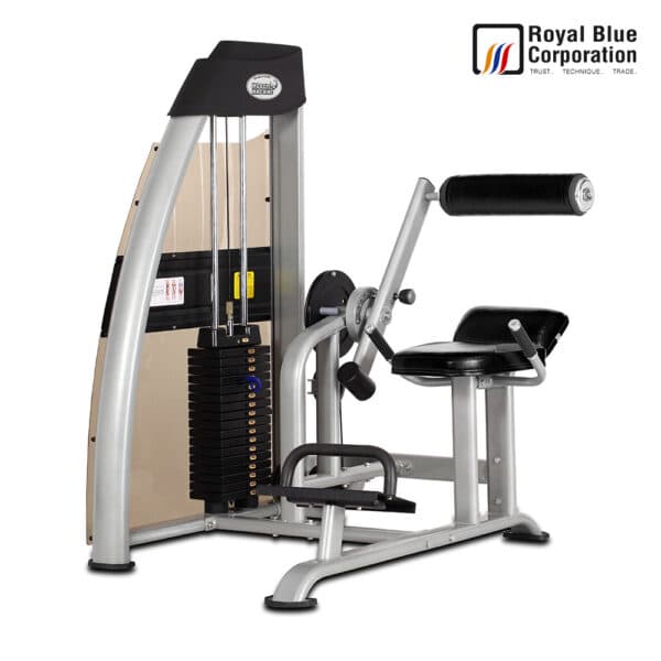 Back Extension Machine image