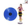 Waist twist plate disc