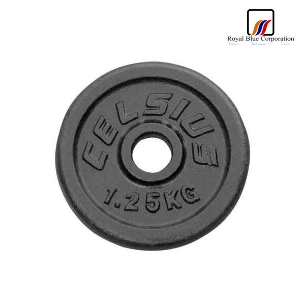 iron plate dumbbell price