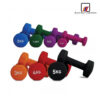 Vinyl Dumbbell (per kg) - Image 2